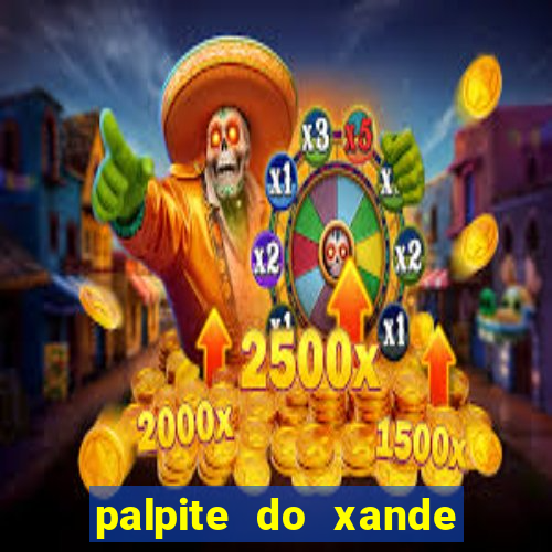 palpite do xande para hoje